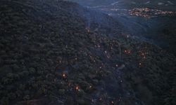 Bozdoğan yangını büyük ölçüde kontrol altına alındı