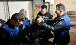 150 kilo tavuk etine el koyuldu!