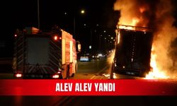 Alev alev yandı