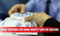 Emlak vergisinde sıfır oranlı muafiyet şartları açıklandı