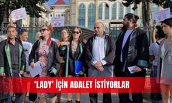 ‘Lady’ için adalet istiyorlar