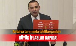 Antalya tarımında tehlike çanları: Büyük iflaslar kapıda!