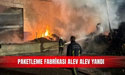 Paketleme fabrikası alev alev yandı