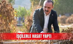 İşçilerle hasat yaptı