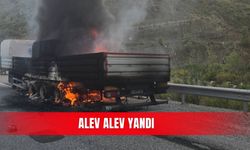 Alev alev yandı