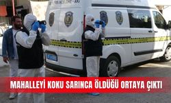 Mahalleyi koku sarınca öldüğü ortaya çıktı