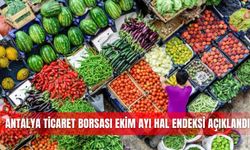 Antalya Ticaret Borsası Ekim ayı hal endeksi açıklandı