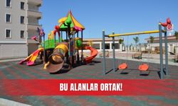Bu alanlar ortak!
