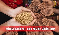 Eşitsizlik dünyayı gıda  krizine sürüklüyor