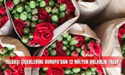 Yılbaşı çiçeklerine Avrupa’dan 12 milyon dolarlık talep