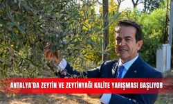 Antalya’da Zeytin ve Zeytinyağı Kalite Yarışması başlıyor