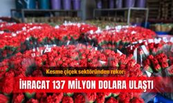 Kesme çiçek sektöründen rekor: İhracat 137 milyon dolara ulaştı