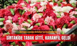 Avrupa yasağı Antalya'ya kazandırdı: Sirtakide tabak gitti, karanfil geldi