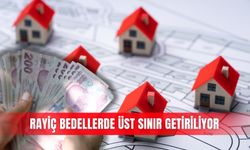 Rayiç bedellerde üst sınır getiriliyor