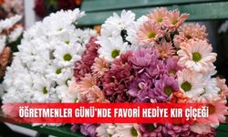 Öğretmenler Günü’nde favori hediye kır çiçeği