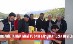 Organik tarıma mavi ve sarı yapışkan tuzak desteği