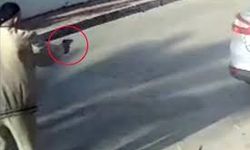 Havladığı gerekçesiyle köpeği vurup öldüren emekli polis hakkında 'yakalama' emri