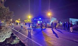 Gazipaşa'da yolun karşısına geçmeye çalışırken hayatını kaybetti