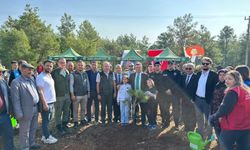 Fidanlar toprakla buluştu