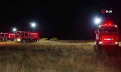 Gürcistan İçişleri Bakanı Geladze, Türkiye'ye ait asker kargo uçağının düştüğü bölgede