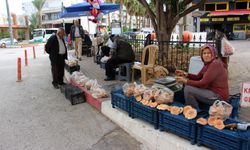 Mantar geçim kaynakları oldu