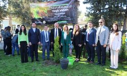 Milli Ağaçlandırma Günü