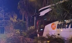 Yolcu otobüsü refüjdeki ağaç ve aydınlatma direğine çarptı: 3 yaralı