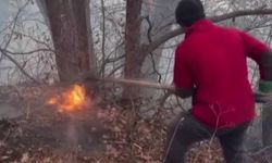 İran’dan orman yangınlarıyla mücadelede yardım talebi: Türkiye 2 uçak gönderiyor