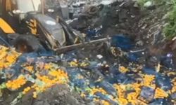 Sarp Sınır Kapısı’nda 6 ton mandalina imha edildi
