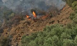 Bozdoğan’da orman yangını