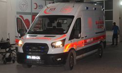 Yedikleri pizzadan zehirlenen 4 kişiden 1’i hayatını kaybetti