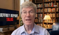 ABD'li ekonomistten dikkat çeken açıklamalar!