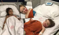 İki kardeşe saldıran pitbull ve sahibi yakalandı