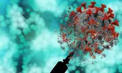 'Maymun çiçeğ'nin yeni varyantı tespit edildi