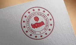 İçişleri Bakanlığı: 'Yeşil' adıyla arama yapan kişinin hükümlü olduğu tespit edildi