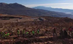 Gabar'da fidan dikim seferberliği