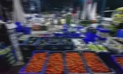 TÜİK: Bitkisel üretim miktarları 2025'te azaldı