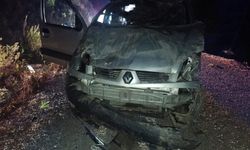 Gazipaşa'da araç yolda çıktı, şarampole düştü