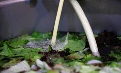 Büyükşehir tesislerinde ozonlu temizlik