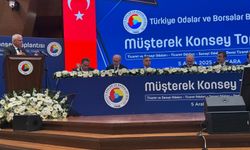 ALTSO Başkanı Eray Erdem, Ankara'da Alanya'nın sesi oldu