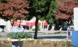 Konyaaltı’nda çiçeklerle kent güzelleşiyor
