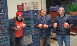 Nar ihracatı başladı