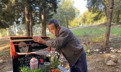 Vicdansız hırsızlık! Mezara dadandılar