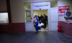 Organları umut oldu