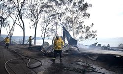 Avustralya'da orman yangınları: 16 ev küle döndü
