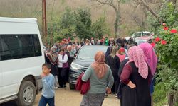 Komşusunun ağaç kesimine yardım ederken hayatını kaybetti