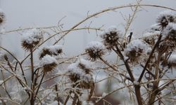 Ardahan eksi 15 dereceyle buz kesti