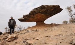 Buzul çağ kalıntısı: Tam 6 milyon yıl önceye ait