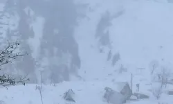 Artvin’de çığ düştü; 3 çoban kar altında kaldı