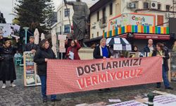 Hayvanseverler tek ses!